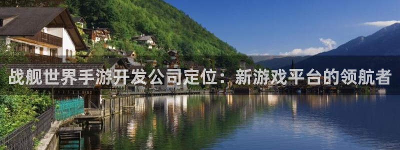 巅峰国际下载：战舰世界手游开发公司定位：新游戏平台的领航者