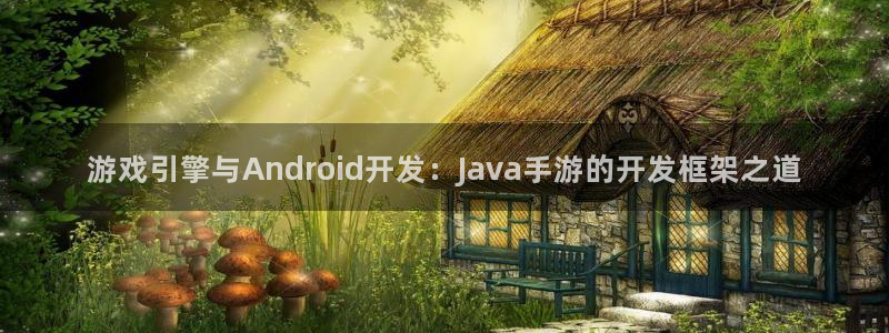 巅峰国际官网：游戏引擎与Android开发：Java手游的开