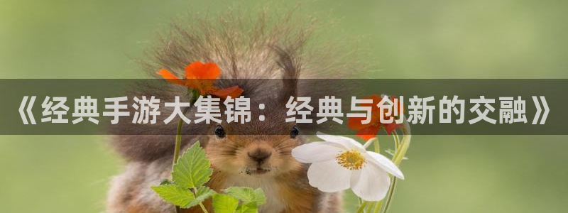 巅峰国际首页：《经典手游大集锦：经典与创新的交融》