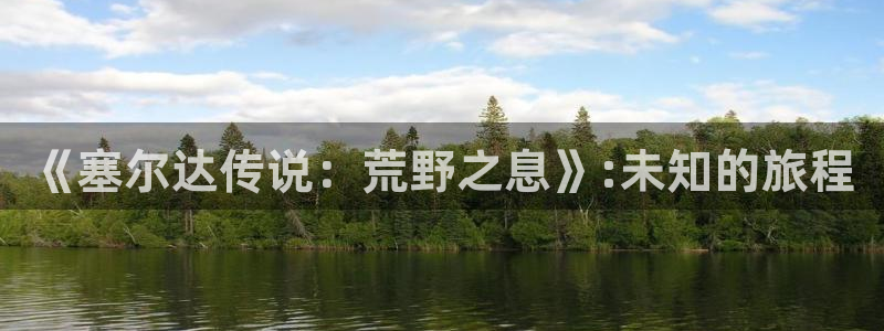 巅峰国际