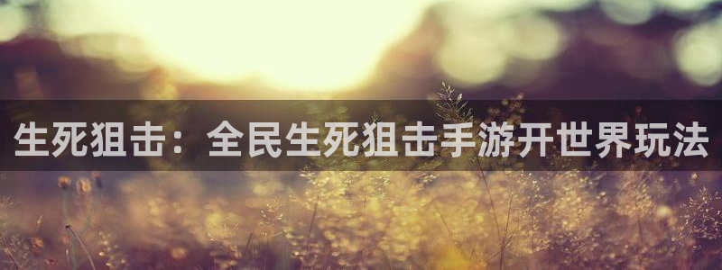 巅峰国际：生死狙击：全民生死狙击手游开世界玩法