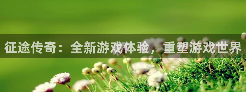 巅峰国际：征途传奇：全新游戏体验，重塑游戏世界