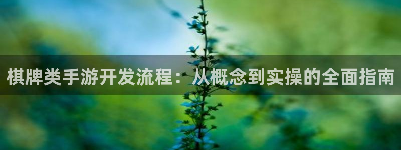 巅峰国际官网：棋牌类手游开发流程：从概念到实操的全面指南