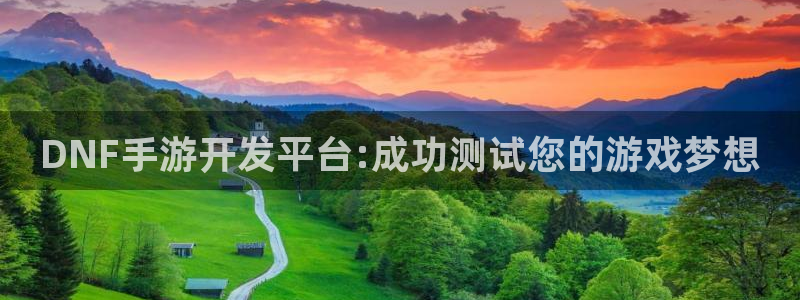 巅峰国际app：DNF手游开发平台:成功测试您的游戏梦想