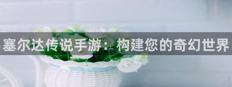 巅峰国际首页：塞尔达传说手游：构建您的奇幻世界