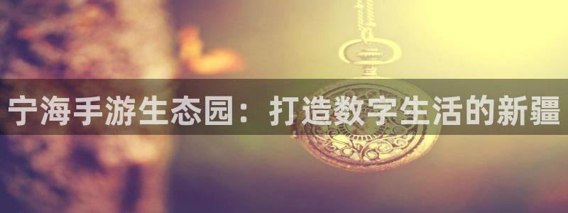 巅峰国际注册：宁海手游生态园：打造数字生活的新疆