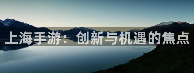 巅峰国际平台：上海手游：创新与机遇的焦点