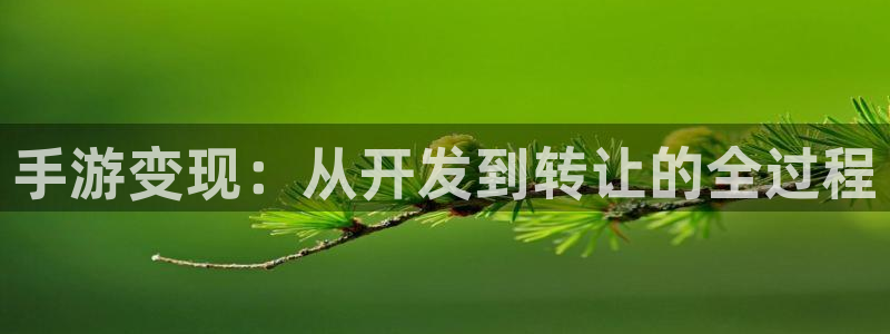 巅峰国际首页：手游变现：从开发到转让的全过程