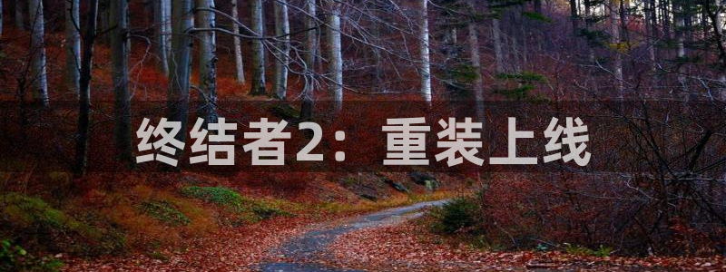 巅峰国际下载：终结者2：重装上线