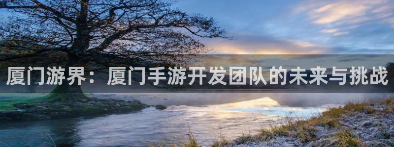 巅峰国际注册：厦门游界：厦门手游开发团队的未来与挑战