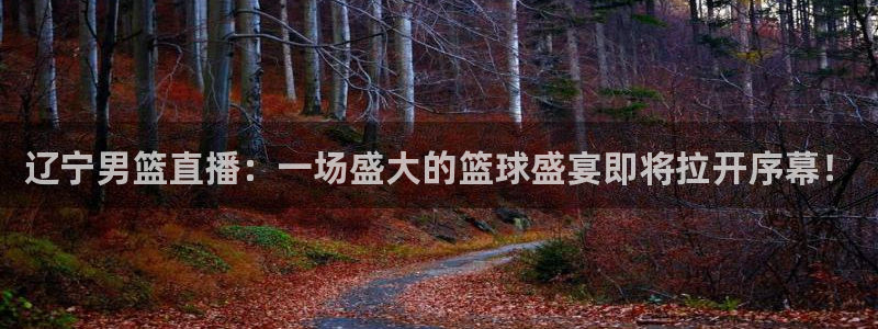 51视频在线直播nba：辽宁男篮直播：一场盛大的篮球盛宴即将拉开序幕！